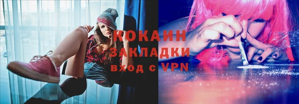 крисы Верея