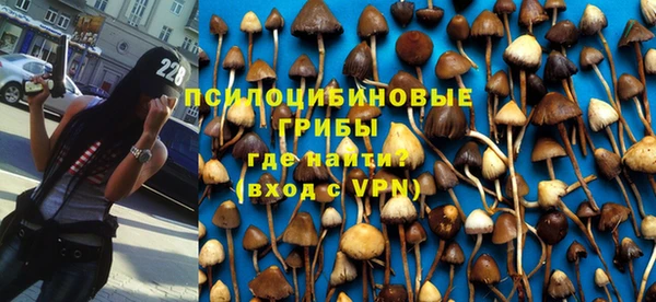 стаф Анжеро-Судженск