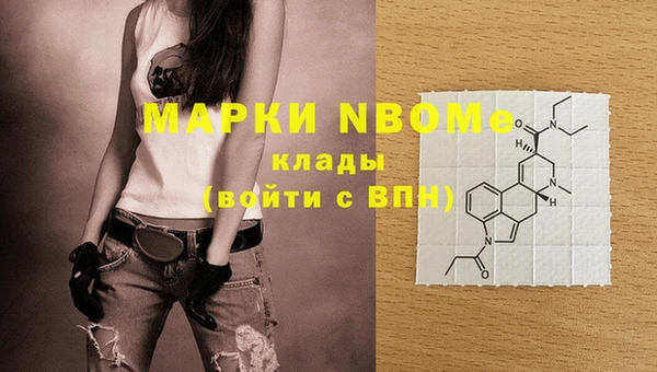 PSILOCYBIN Вяземский