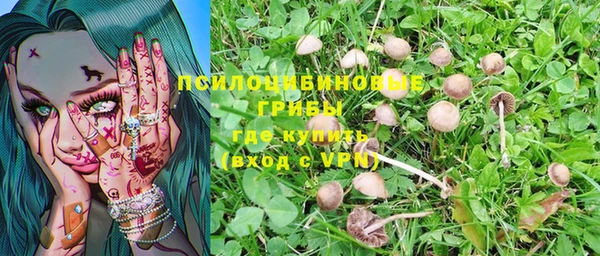 синтетический гашиш Верхний Тагил