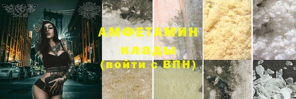 PSILOCYBIN Вяземский